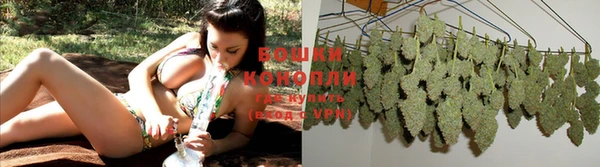 шишки Володарск