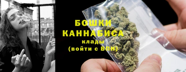 шишки Володарск