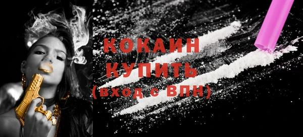 шишки Володарск