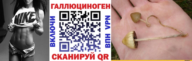 Галлюциногенные грибы мухоморы  Купить закладки  Выборг 
